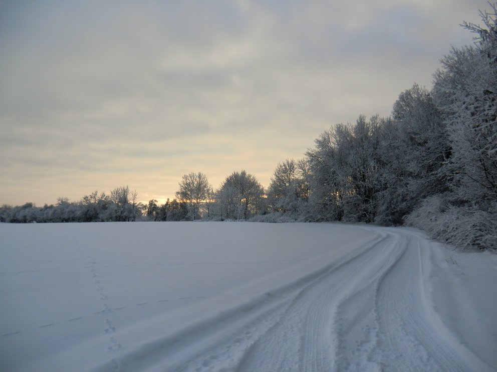 Winter in Peckelsheim !
